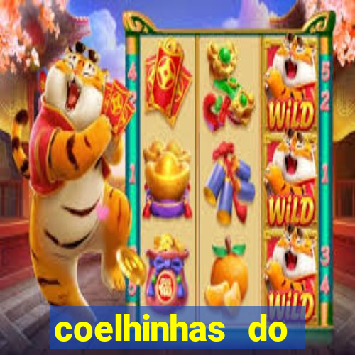 coelhinhas do brasil site